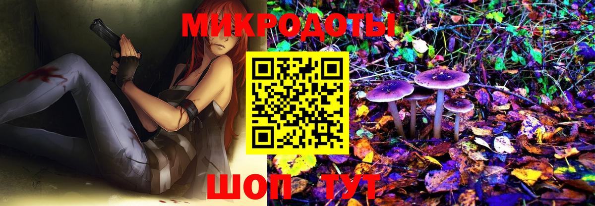 Псилоцибиновые грибы Magic Shrooms Черкесск