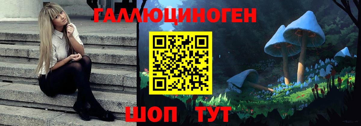 Псилоцибиновые грибы MAGIC MUSHROOMS  Псилоцибиновые грибы прущие грибы  Вход с VPN  купить закладку  Черкесск 